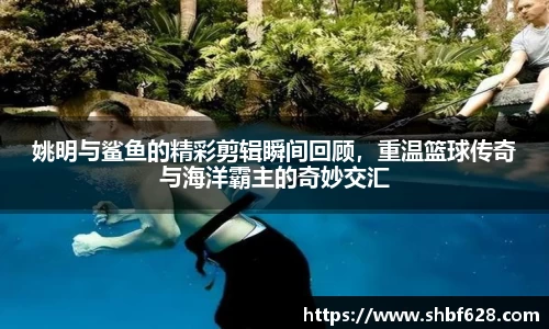 姚明与鲨鱼的精彩剪辑瞬间回顾，重温篮球传奇与海洋霸主的奇妙交汇