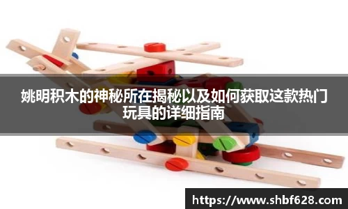 姚明积木的神秘所在揭秘以及如何获取这款热门玩具的详细指南